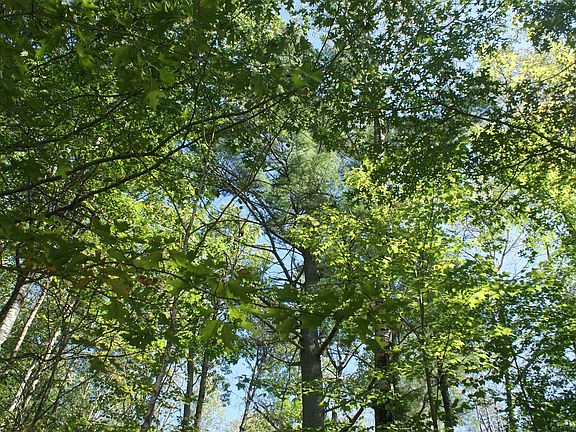 3rd image of Blue Heron Ln Lot 1-2