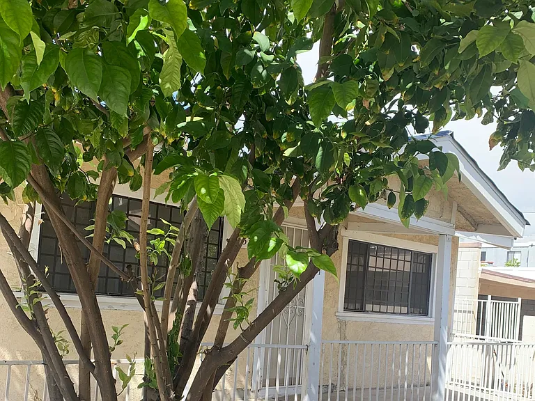 533 E Lomita Ave — Photo 10