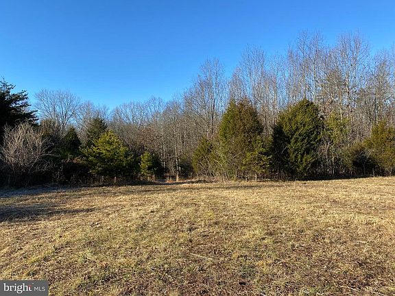 Building site backs to trees