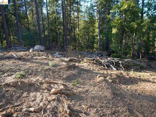 169 Canyon View Dr, Hathaway Pines, CA 95233