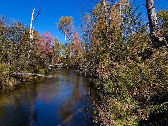 2nd image of Parcels A Wild River Way