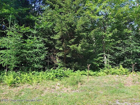 3rd image of 121 Hemlock Ln