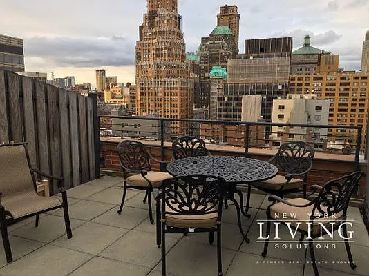 Rented by NY Living Solutions | media 22