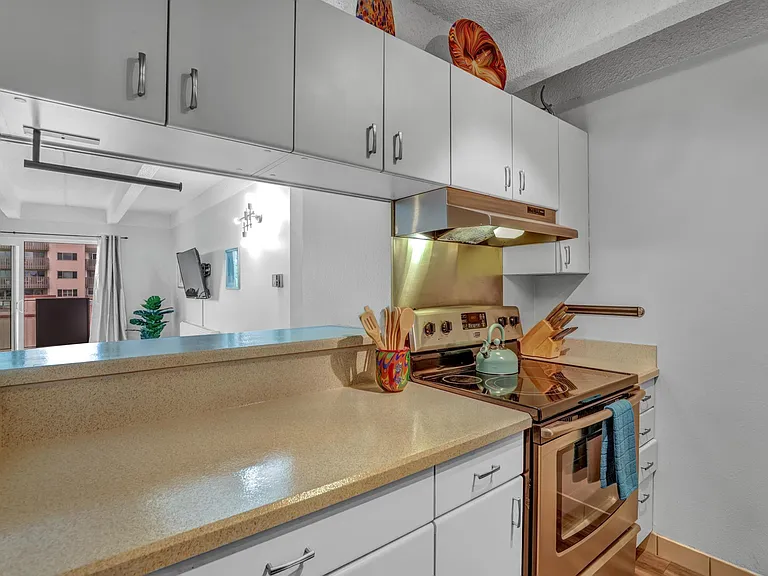 1265 N Race St #602 — Photo 8