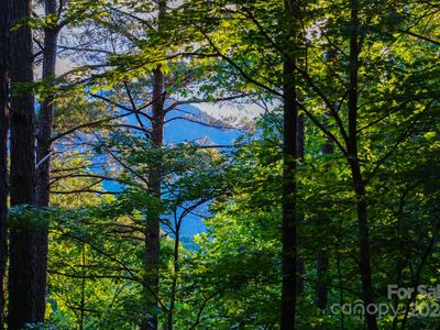 0 River Park Ln #20, Mill Spring, NC, 28756
