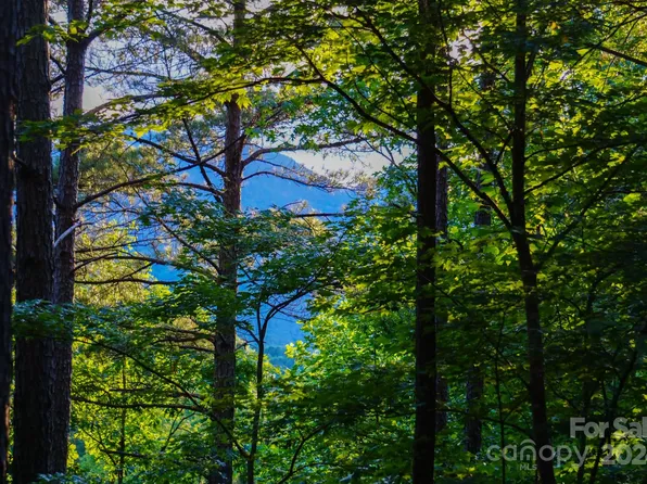 0 River Park Ln #20, Mill Spring, NC 28756