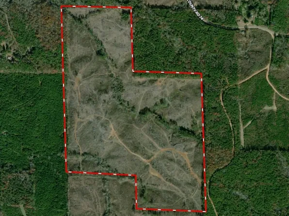 Providence Church Rd, Millport, AL 35576