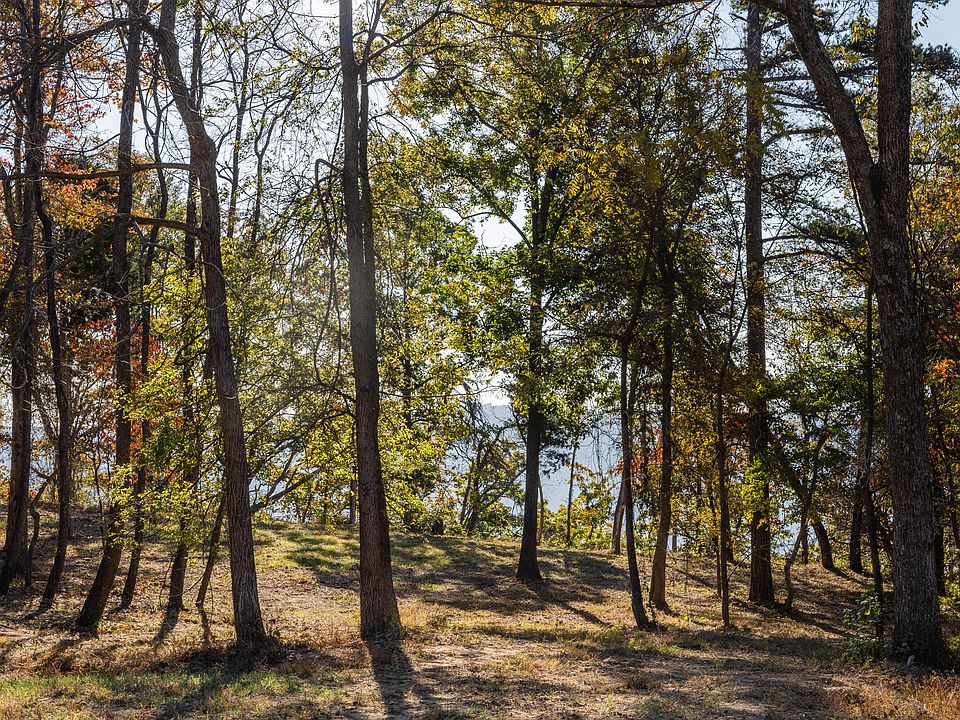 2nd image of 3395 River Gorge Dr