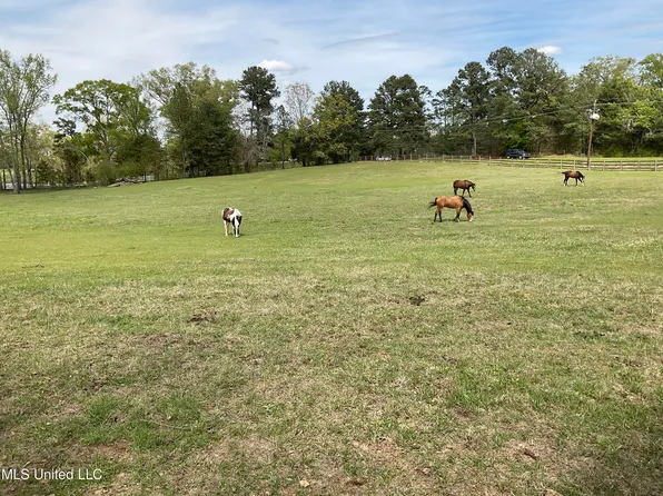 0 Springridge Rd, Raymond, MS 39154