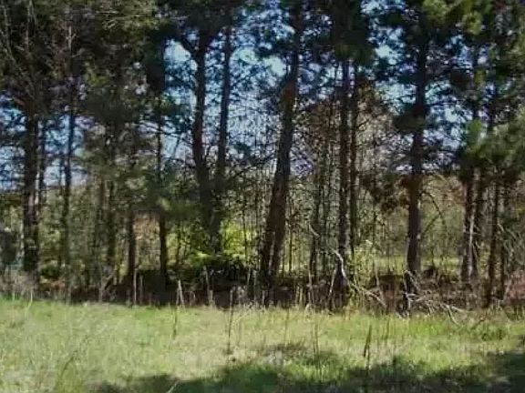 4th image of 6412 Applewood Ln
