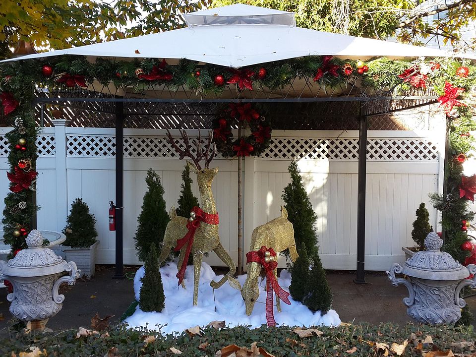 Daytime Winter Christmas Gazebo