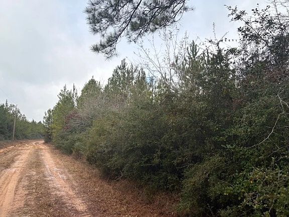 4th image of 0 County Road 1875