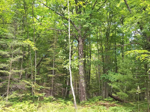 xxx South Shore Rd Lot 3, Block 2 South Shore Woodlands, La Pointe, WI 54850