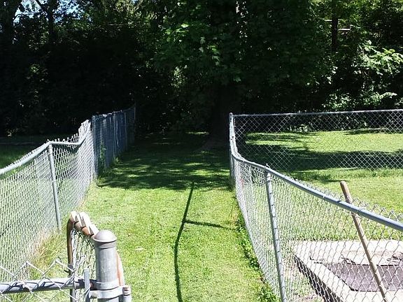 backyard1