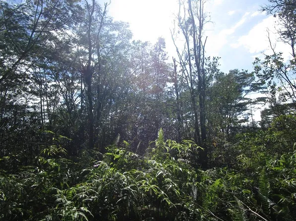 Silversword Ct Lot 26, Kurtistown, HI 96760