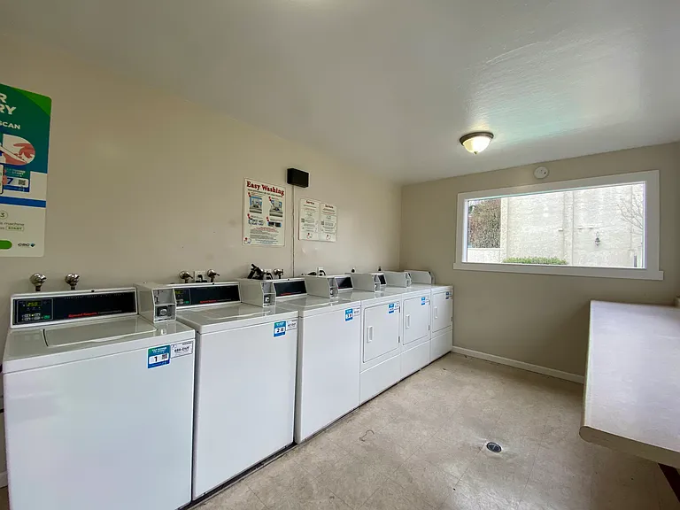Laundry_03032026