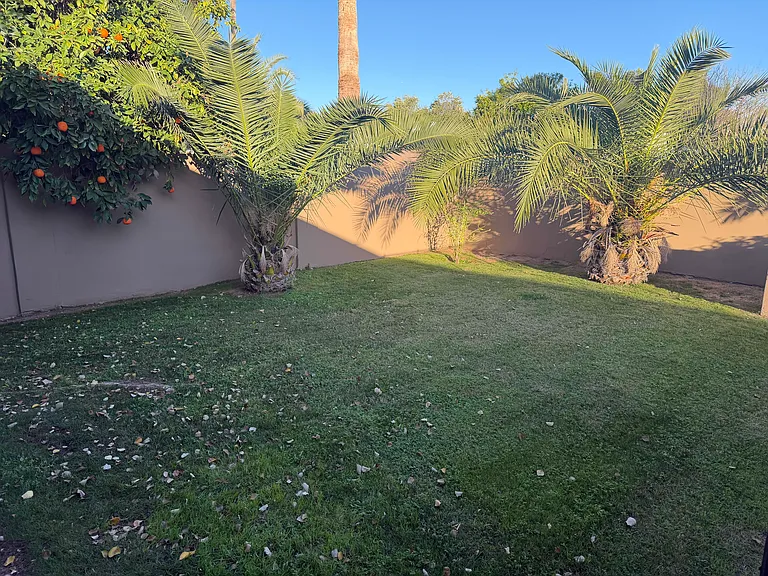 7012 E Redfield Rd — Photo 38