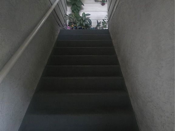 3rd image of 720 N Lacy St E