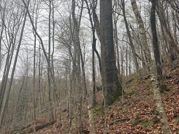 0 Wagoner Town Rd, Saint Charles, VA 24282