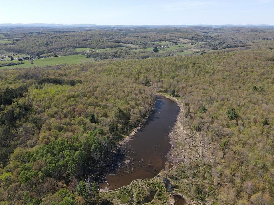 271 Beeman Hill Rd Greene NY Zillow