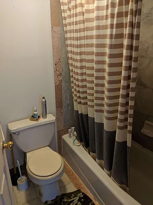 Rented by Loisaida Realty | media 10