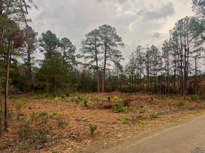 4005 Forest Hills Dr, Kilgore, TX, 75662