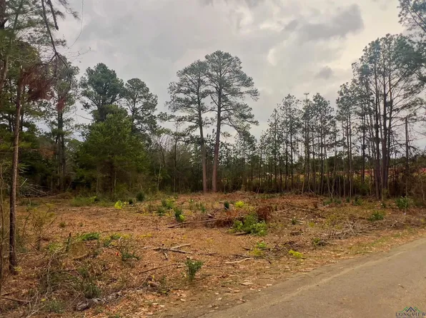 4005 Forest Hills Dr, Kilgore, TX 75662