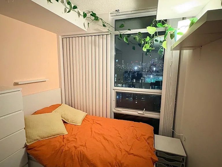 36 Lisgar St #2216E — Photo 17