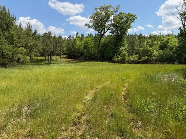 County Road 175, Marion, AL 36756