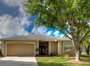 19127 Golden Cacoon Pl, Lutz, FL 33558