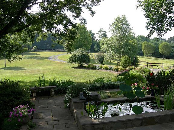 Front view from office window