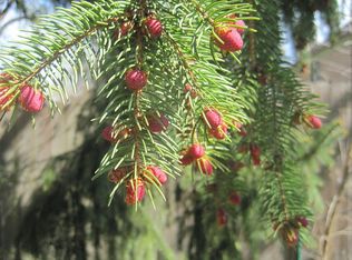 3722 Springdale Ave, Glenview, IL 60025