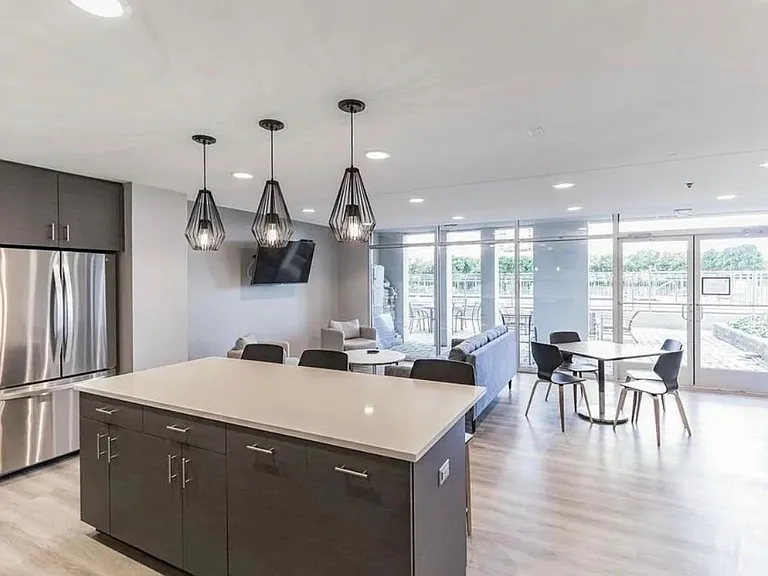 1250 S Michigan Ave #510 — Photo 15
