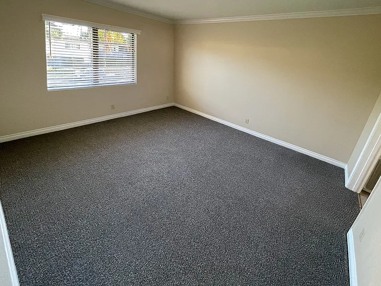 Master suite, with premium carpeting