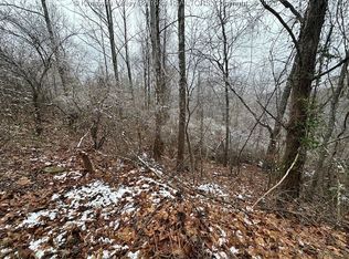 3988 Pinnacle View Rd, Hurricane, WV 25526