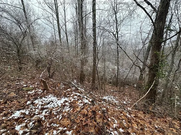 3988 Pinnacle View Rd, Hurricane, WV 25526