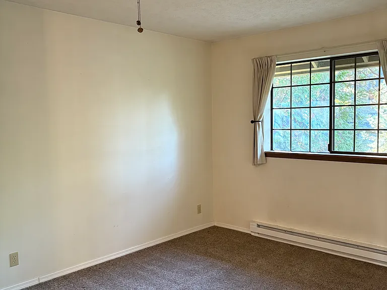 101 S Neyland Ave #4 — Photo 8