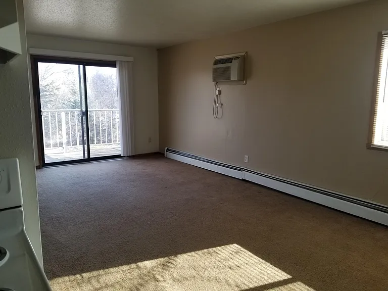1201 3rd Ave N #301 — Photo 3