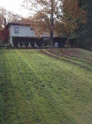 2nd image of 305 Chestnut Ln
