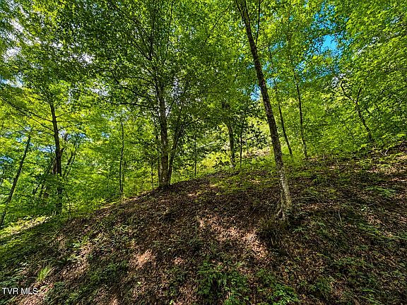 2nd image of Hickman Hollow Rd