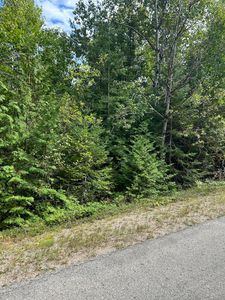 Doyle Dr, Presque Isle, MI, 49777