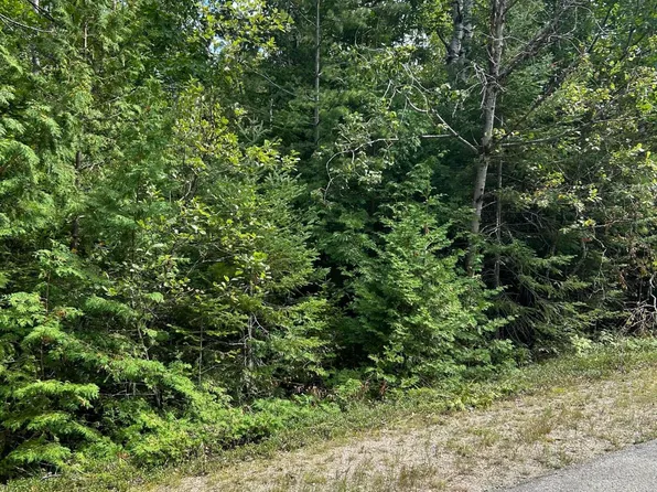 Doyle Dr, Presque Isle, MI 49777