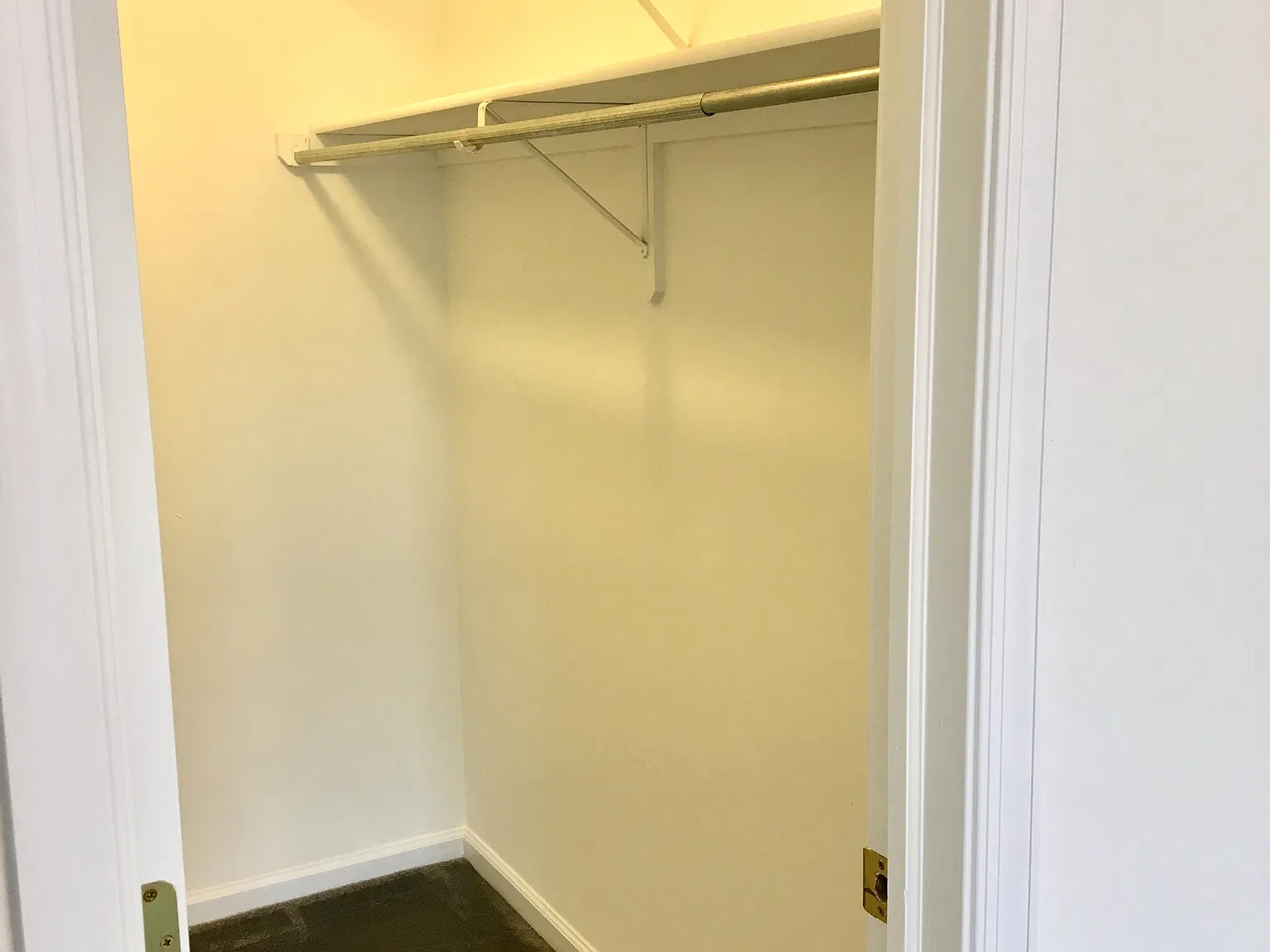 1 bed, 750 sqft, $1,750 — Photo 3
