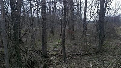 2nd image of Prairie Hills Dr #7