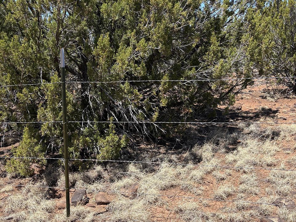 2nd image of 57 County Road 7209