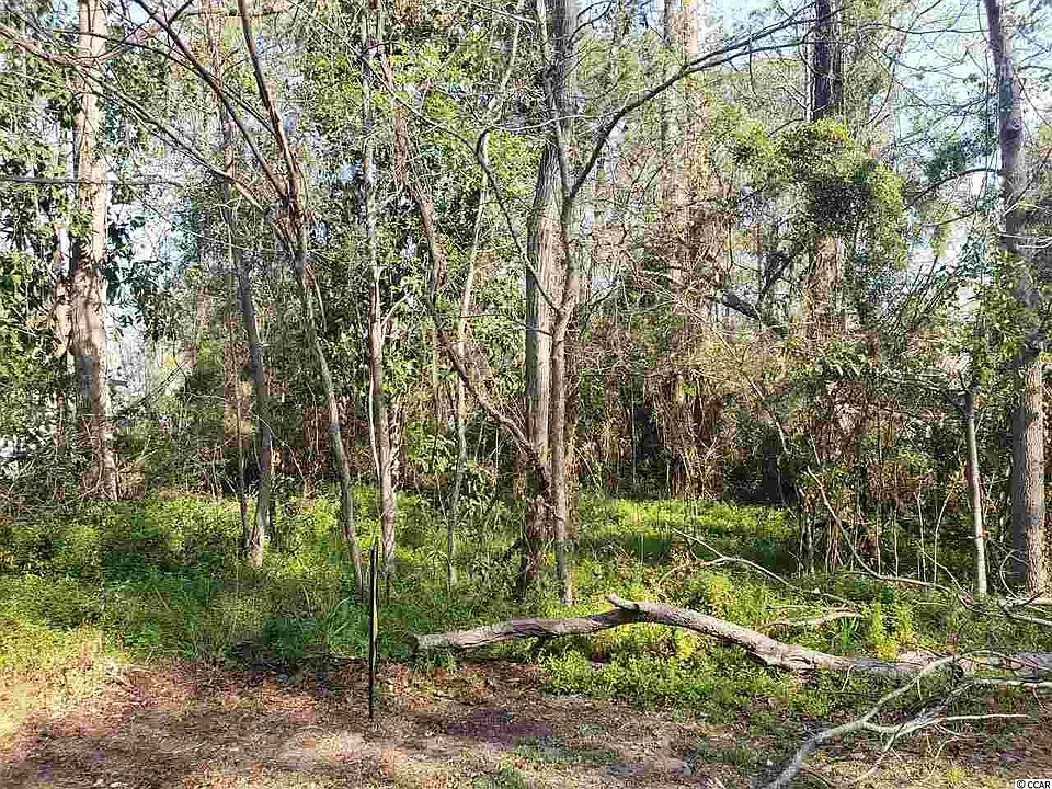 1st image of 2804 Wiley Dr