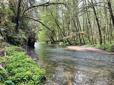 Highway 53, Nehalem, OR, 97131