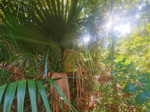20th Ave, Apalachicola, FL 32320