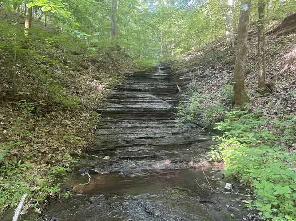 0 Highway 412 E, Linden, TN 37096