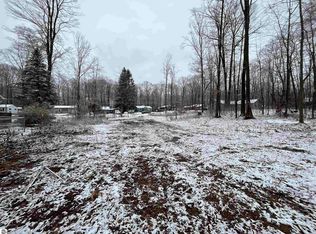 3910 White Birch Dr, Grawn, MI 49637